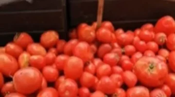 تغيرات أسعار الخضراوات في الأقصر وتجاوز سعر الطماطم حاجز 20 جنيهاً مصرياً